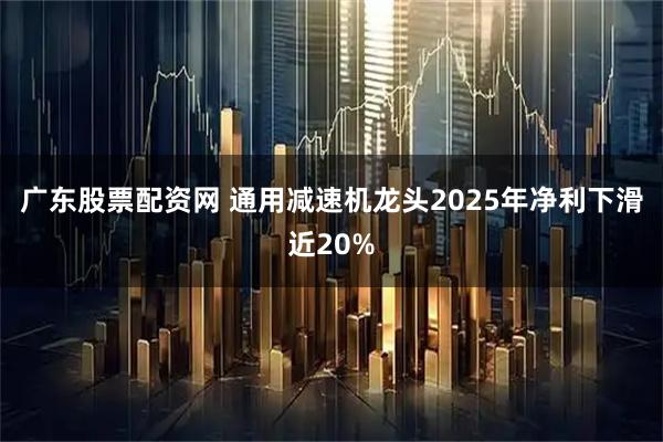 广东股票配资网 通用减速机龙头2025年净利下滑近20%
